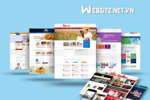 Công ty thiết kế website: Website.net.vn